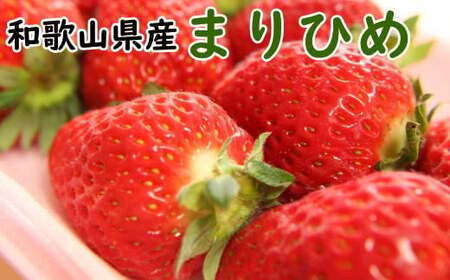 【2025年5月より順次発送】和歌山県産ブランドいちご「まりひめ」約300g×2パック入り ※2025年5月上旬～5月下旬順次発送予定（お届け日指定不可）【tec965-5】