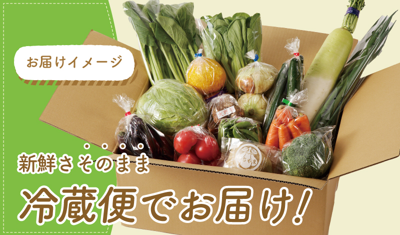 泉州野菜 定期便 全12回 15種類以上 詰め合わせ 国産 新鮮 冷蔵【毎月配送コース】 099Z189