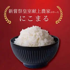 【令和7年産】 米 10kg にこまる 米 AS012