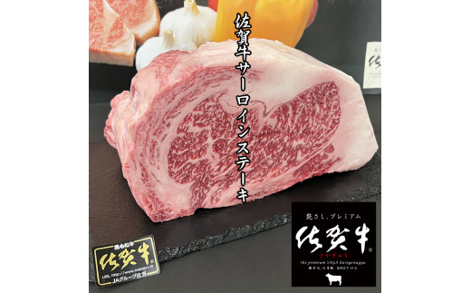 佐賀牛A5サーロインステーキ250g×4枚 161-J776