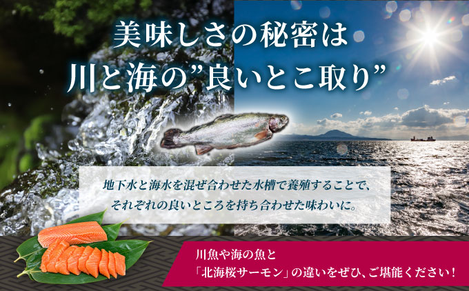 「陸上養殖」 北海桜サーモン 刺身 スライス 300g 冷凍 国産 北海道産 道産 松前産 トラウト サーモン 鮭 生鮭 お刺身 生食用 手軽 調理 カルパッチョ サーモン丼 漬け丼 産地直送 お取り