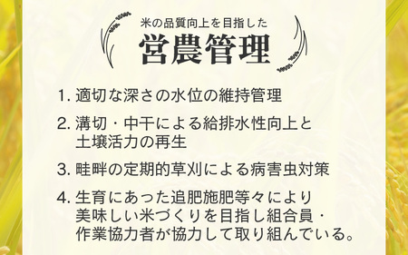 【先行予約】【令和7年産 新米】《定期便6回》エコ栽培コシヒカリ 白米10kg（5kg×2袋）計60kg ／ 鮮度抜群 福井県産 こしひかり ご飯 新鮮 白米 ※2025年10月上旬より準備出来次第発