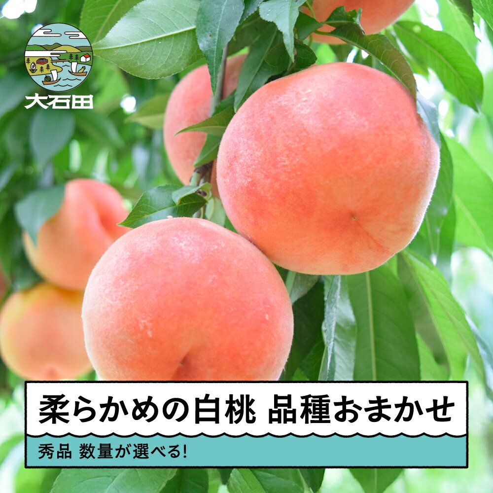 【ふるさと納税】先行予約 もも 桃 柔らかめの白桃 品種おまかせ 数量を選べる 山形県産 2026年産 令和8年産 フルーツ 果実 送料無料 ry-mohts