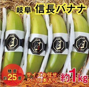 1041 天下布武信長バナナ　約1kg　サイズお任せ　岐阜県産　糖度25度前後　無農薬　無添加
