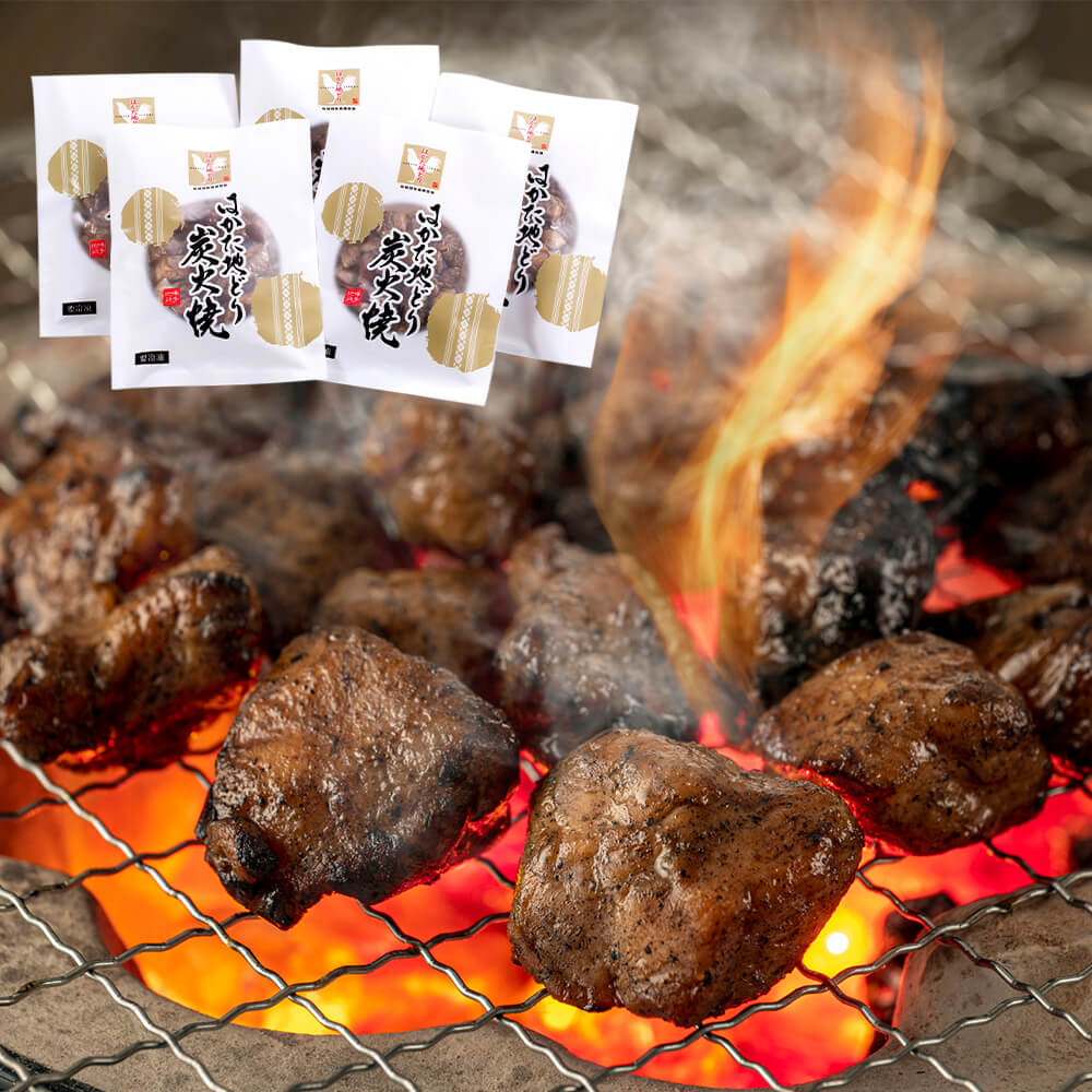 【ふるさと納税】はかた地どり 炭火焼セット 合計500g 100g×5パック 福岡県産 九州産 国産 炭火焼き 地鶏 地鶏肉 鶏肉 炭火やき 小分け お肉 肉 おつまみ おかず 冷凍 送料無料