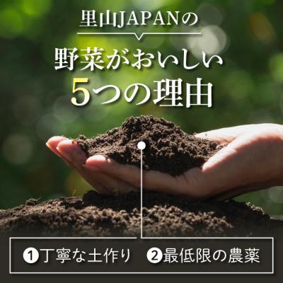 ふるさと納税 東御市 【先行受付2026年発送】長野県東御市産生きた土壌で育った『季節の野菜セット』|里山JAPAN |  | 01