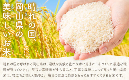 岡山県産 こしひかり 10kg(5kg×2袋) 無洗米 全農パールライス株式会社《30日以内に出荷予定(土日祝除く)》 岡山県 浅口市 送料無料 こめ 無洗米 コシヒカリ