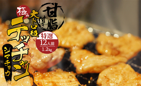 極み シマチョウ テッチャン 1.2kg | ホルモン てっちゃん