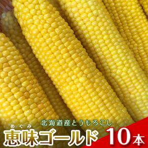 北海道産とうもろこし（恵味ゴールド10本）