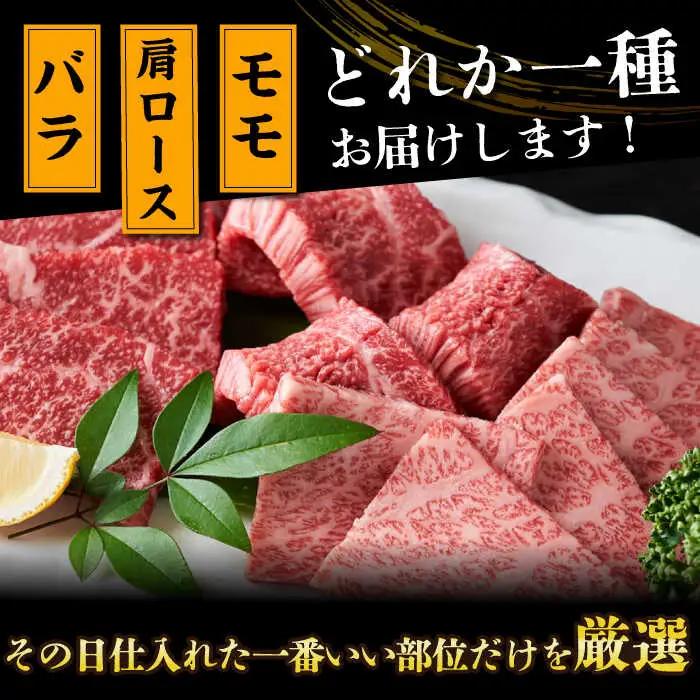 A4-A5 長崎和牛 焼肉用 500g×2 (1kg)  [DBS002] 牛肉 焼肉