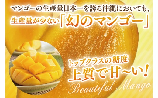 【2026年8月より順次発送】キーツマンゴー 2～3玉(約2kg)(化粧箱)｜沖縄県 豊見城市 マンゴー キーツマンゴー フルーツ 果物 くだもの おきなわマンゴー 先行予約 ギフト 贈り物 化粧箱入