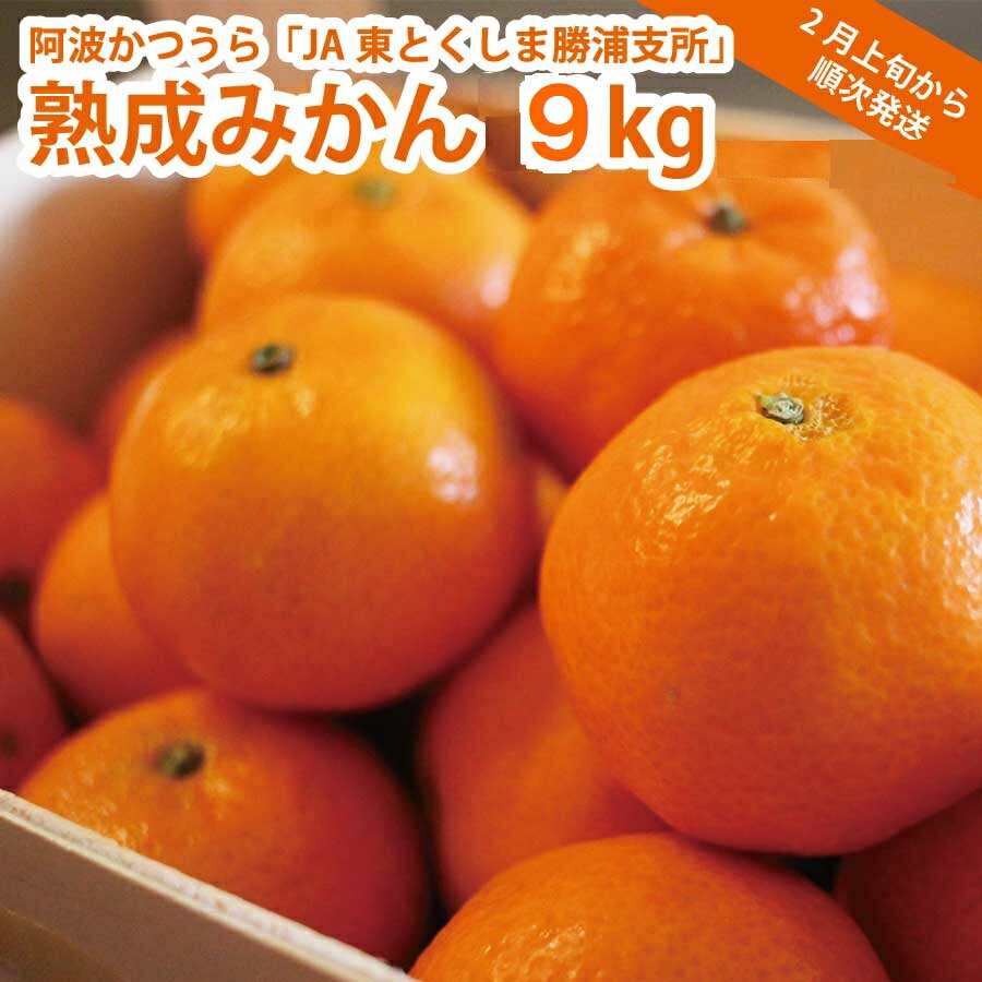 【ふるさと納税】JA東とくしま 勝浦熟成みかん 9kg 大玉サイズ 優品