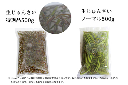 生じゅんさい食べ比べセット1kg タレ4個（生じゅんさい500g、特選生じゅんさい500g） 《冷蔵》（2024年5月中旬頃〜7月下旬順次発送予定） 先行受付