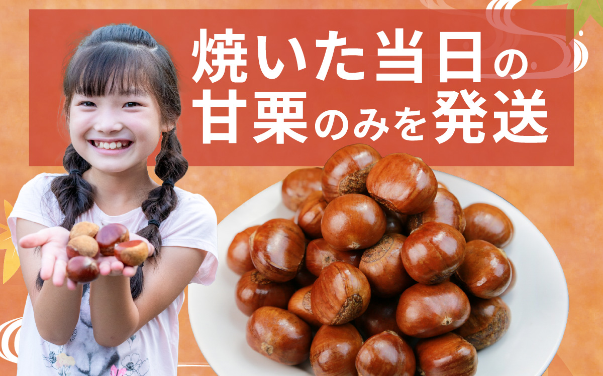 【最速発送】 【 寄付受付：2025年7月10日まで 】 天津甘栗 800g ／ 焼きたて 栗 くり マロン 秋 おやつ 栗爪 殻付き お菓子 おつまみ 人気 高リピート 小分け 栗ご飯 栗きんとん 