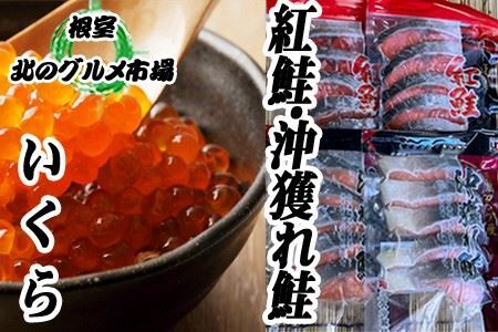 沖獲れ鮭切身5切×10P、紅鮭5切×10P、いくら醤油漬100g×5P　 E-76003