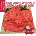 【ふるさと納税】【数量限定】飛騨牛 A5 等級 すき焼き しゃぶしゃぶ 3種 盛り ロース もも 肩 各 300g 計 900g チルド 冷蔵 発送 黒毛和牛 国産 牛 肉 和牛 ブランド牛 高級 お取り寄せ グルメ お祝い 記念日 送料無料 岐阜県 中津川市 F4N-1252