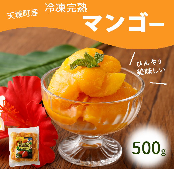 鹿児島県 徳之島 天城町産 冷凍 完熟 マンゴー 500g 冷凍マンゴー フルーツ マイナビ