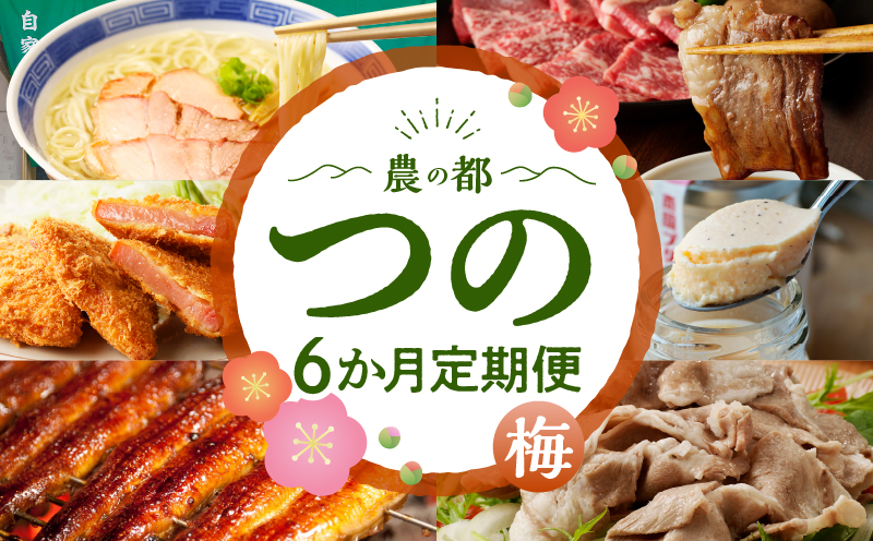≪6か月お楽しみ定期便≫都農町定期便(梅) 肉 加工品 デザート 国産_T999-0053