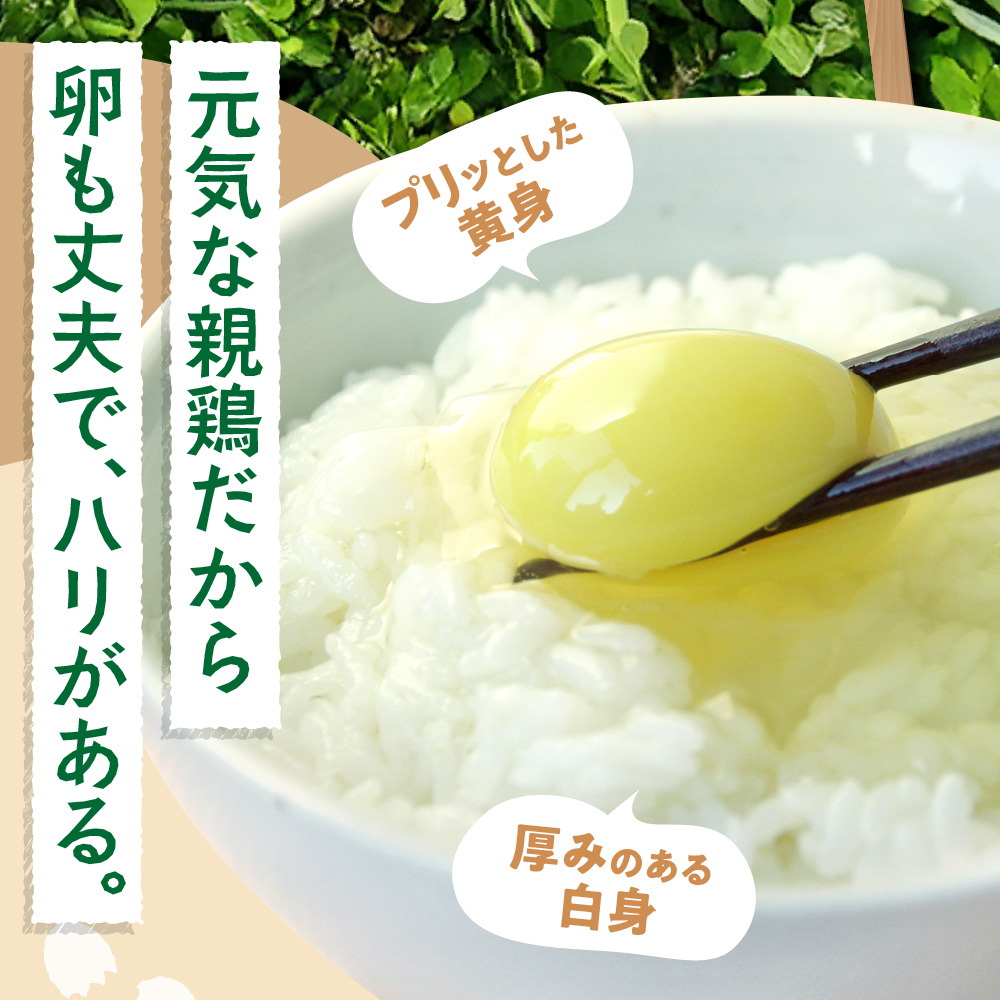 【定期便】飛ぶ鳥農場　海の街たまご　40個×6か月