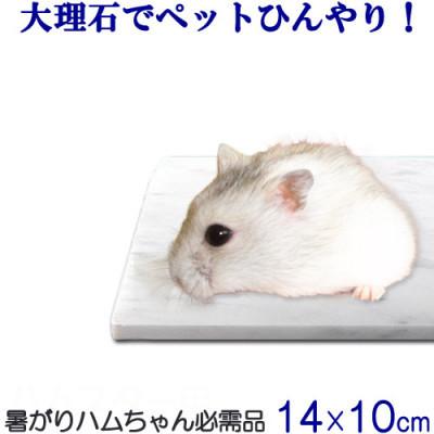ふるさと納税 大野町 ハムスターひんやり大理石マット 14×10センチ イタリア産 ビアンコカラーラ |  | 01