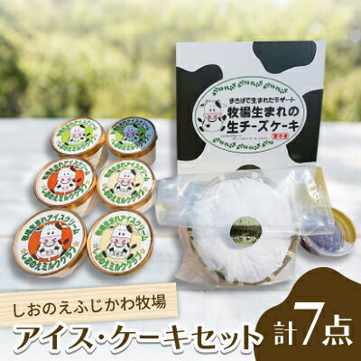 【ふるさと納税】『しおのえふじかわ牧場』生チーズケーキ&アイスクリームセット【配送不可地域：離島】【1609904】