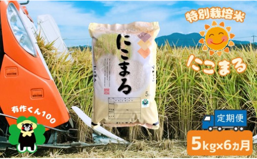 
特別栽培米 「にこまる」（5kg×6ヶ月定期）熊本玉名産
