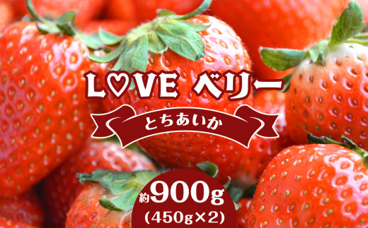 【2027年 先行予約受付中！】♡LOVE ベリー【とちあいか 900g】