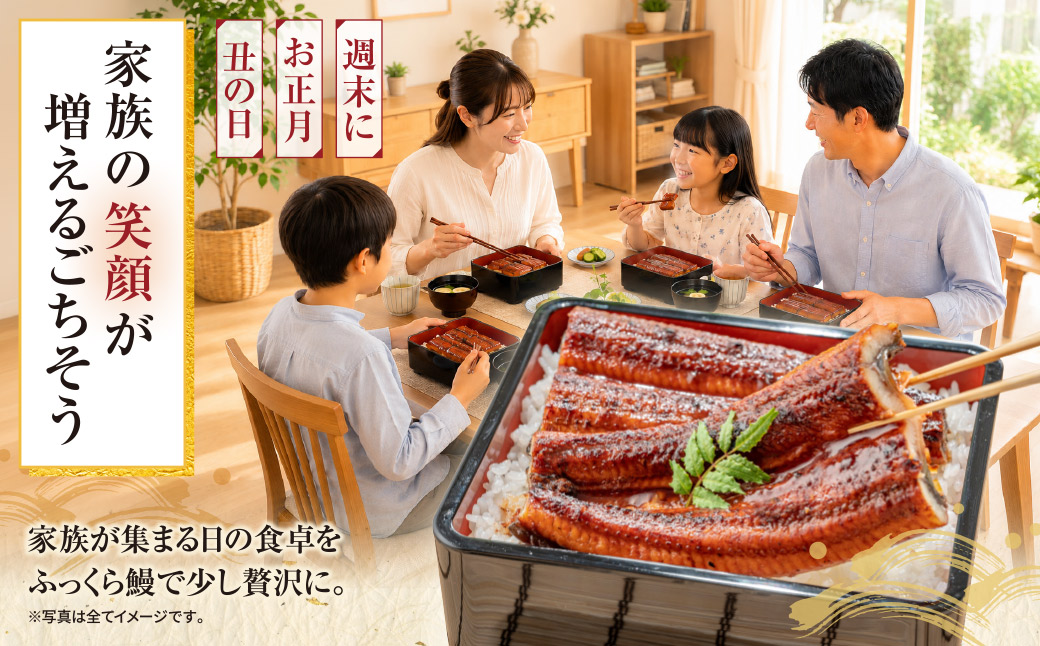 健やか鰻 国産うなぎ蒲焼(無頭)2尾(計310g以上) 定期便(冬発送・12月〜1月・全2回)