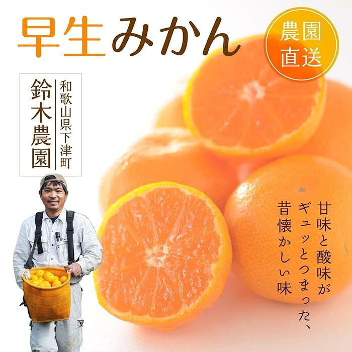 【ふるさと納税】【選べる内容量／サイズ】 早生みかん 3～5kg ／ S・SSサイズ or S・M・Lサイズ 和歌山県 海南市 鈴木農園 | みかん フルーツ 果物 送料無料