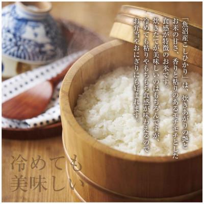 ふるさと納税 十日町市 新潟県 魚沼産 こしひかり 6kg×2袋 計12kg 精米 (お米の美味しい炊き方ガイド付) |  | 03