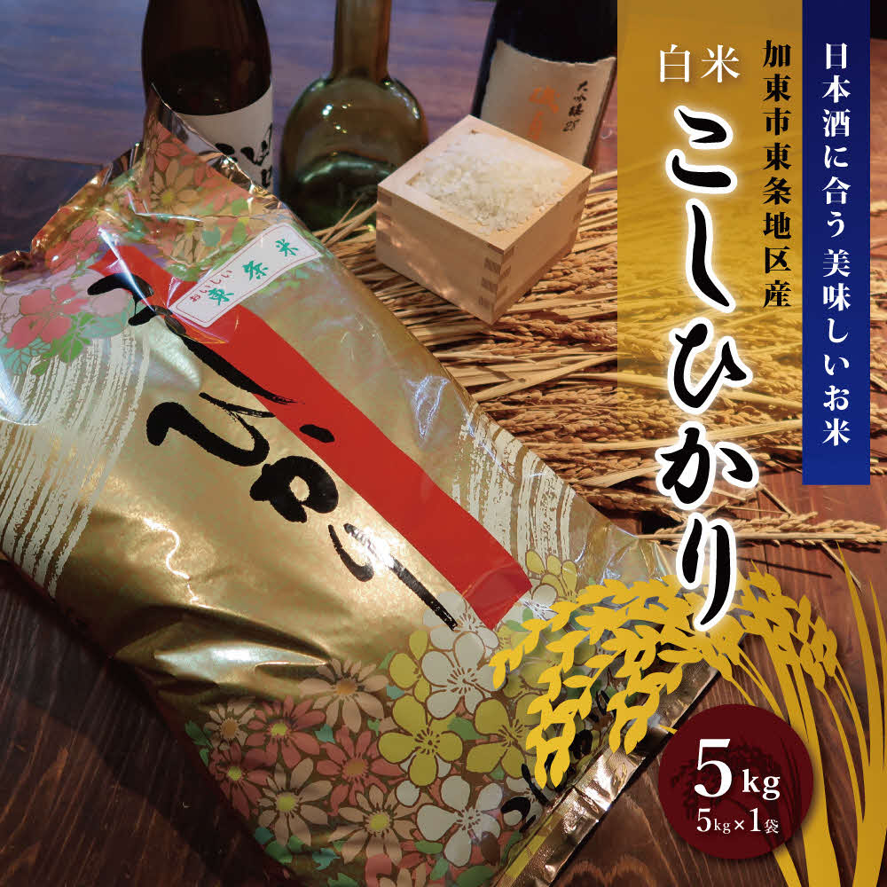 【ふるさと納税】お米 令和7年産 日本酒に合う コシヒカリ 白米 5kg [ 米 こめ コメ 精米 ]