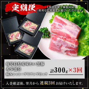 ＜定期便・全3回＞かごしま味わい黒豚希少部位 極みシャトーブリアン(計900g/300g×3回) 黒豚 豚肉 シャトーブリアン【KNOT】 T58