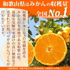  【2026年先行予約】（大玉） 和歌山県産 有田みかん 10kg ひとつひとつ手選別で厳選！生産者から直送_ZN6004n
