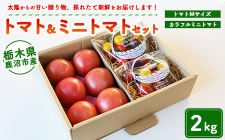 トマト＆ミニトマトセット 2kg | 田島農園 野菜 トマト ミニトマト 濃厚 贈り物 新鮮 高糖度 リコピン ビタミン 美容 健康