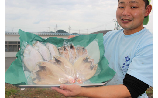 創業令和3年！何十年ぶりに浜田で鮮魚店誕生◎気合の入ったこだわり干物◎ 魚介 干物 ひもの 一夜干し おかず おつまみ 詰め合わせ セット 厳選 ギフト こだわり 干物 【171_1528】