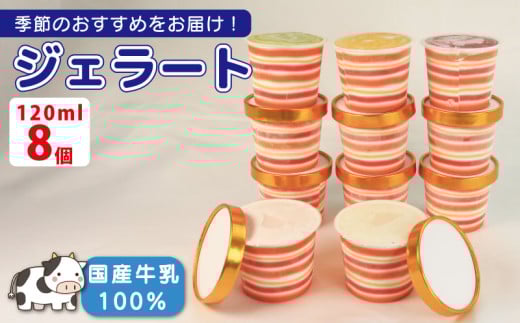 ジェラート  詰め合わせ 120ml 選べる 個数 8個 冷凍 フルーツ ギフト プレゼント 贈答 お取り寄せ グルメ 季節限定 冷凍 徳島県 吉野川市 株式会社マイスター社