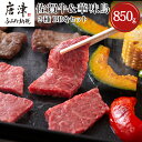 【ふるさと納税】佐賀牛 華味鳥 BBQセット 2種 合計850g アウトドア バーベキュー 牛肉 鶏肉「2024年 令和6年」