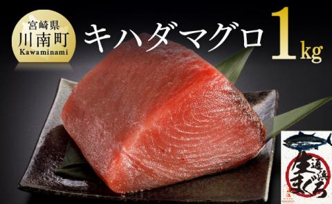 漁協直送！キハダマグロブロック（生）1kg_鮪まぐろ刺身マグロ漬け新鮮マグロ冷蔵まぐろ海の幸魚介送料無料魚介 [H170801]