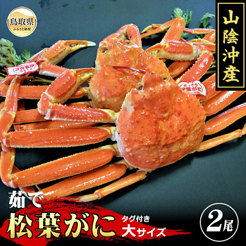 【ふるさと納税】F25-025 （※お歳暮専用※）【特撰】茹で　松葉かに　タグ付き　大サイズ　2尾入【期間・数量限定】 鳥取県 おすすめ ボイル 茹で かに がに ガニ 蟹 松葉ガニ ズワイガニ