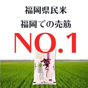 令和7年産　無洗米　福岡県産夢つくし 10kg_Gr018