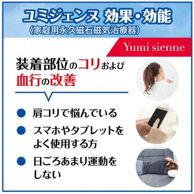ふるさと納税 和泉市 【管理医療機器】パール&ジルコニア磁気ネックレス2点セットYumisienne |  | 03