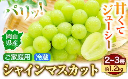 【先行予約】岡山県産 シャインマスカット (家庭用) 2～3房(約1.2kg)《9月中旬-11月中旬頃より発送予定(土日祝除く)》テレビせとうち株式会社 冷蔵 果物 ブドウ 送料無料 岡山県 浅口市