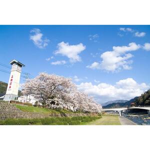 【三朝町】JTBふるさと旅行券（450,000円分）有効期間5年 | 予約 宿泊 観光 体験 温泉 ホテル 旅館 チケット 子供 子連れ カップル 家族 店頭 電話 三朝
