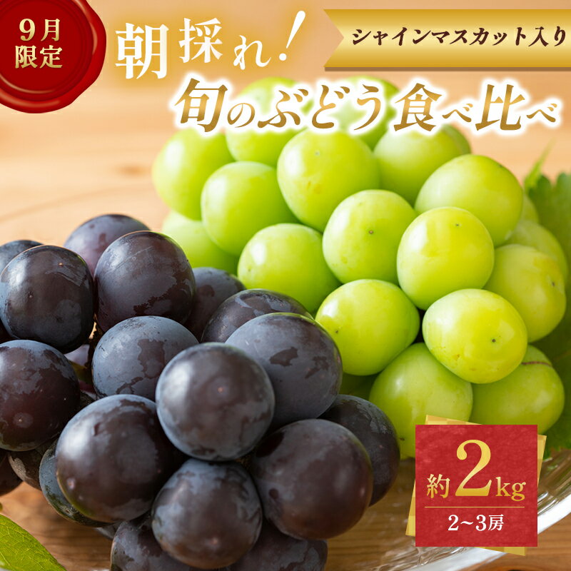 【ふるさと納税】9月限定｜採れたて旬のぶどう 食べ比べ 約2kg（3～4房）シャインマスカット入り セット 詰め合わせ 産地直送 フルーツ 兵庫県 加西市　お届け：2026年9月上旬～中旬