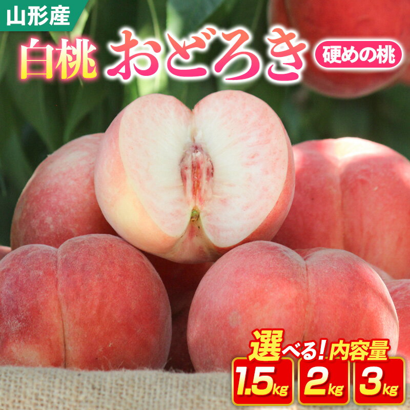 【ふるさと納税】山形県産白桃おどろき 約1.5kg 約2kg 約3kg [硬めの桃]【令和8年産先行予約】FS25-148 選べる くだもの 果物 フルーツ 山形 山形県 山形市 お取り寄せ 先行予約 2026年産