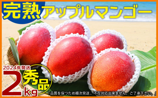 農園一番人気の完熟アップルマンゴー　秀品・約2kg