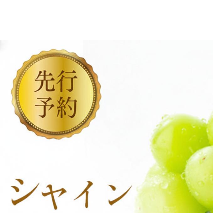 2026年産ぶどう  シャインマスカット 約4kg 6～12房入り 葡萄 ブドウ シャイン マスカット 果物 フルーツ デザート おやつ 種なし 信州 2026年秋発送 