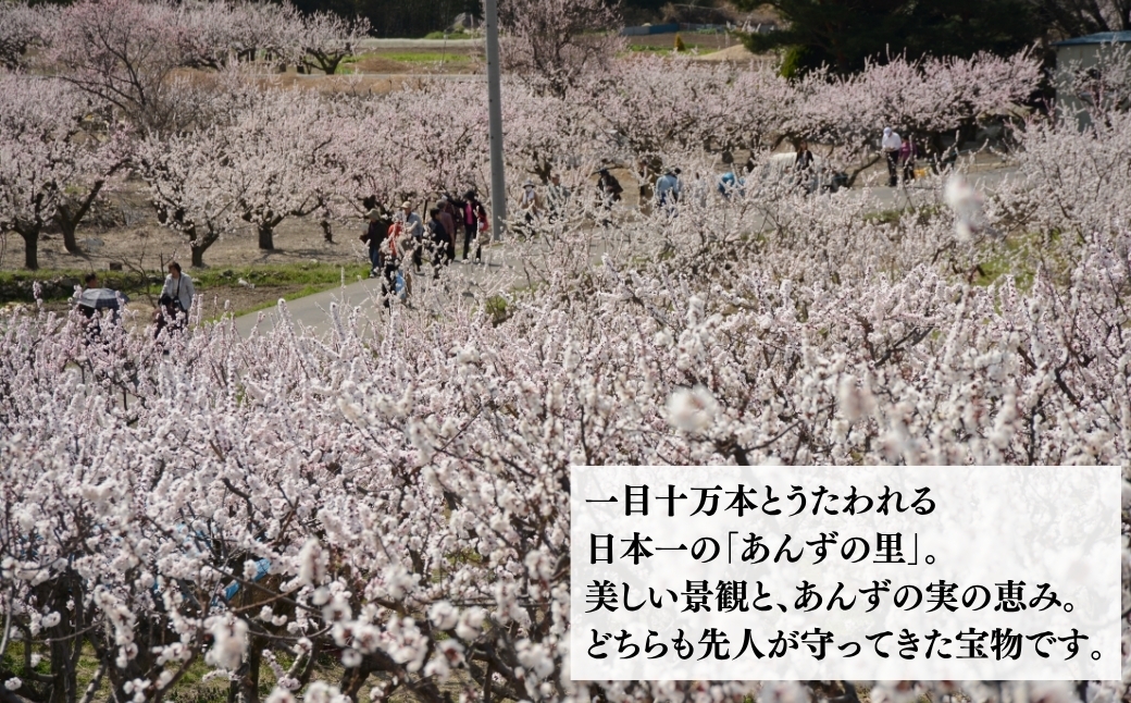 長野県生まれのオリジナル品種で甘さが際立ったりんごです