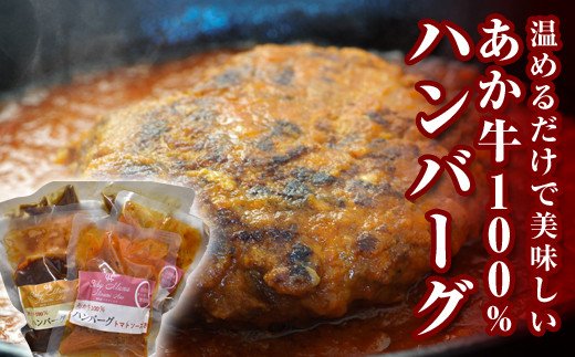 「南阿蘇オーガニック」あか牛ハンバーグ6個セット（2種）