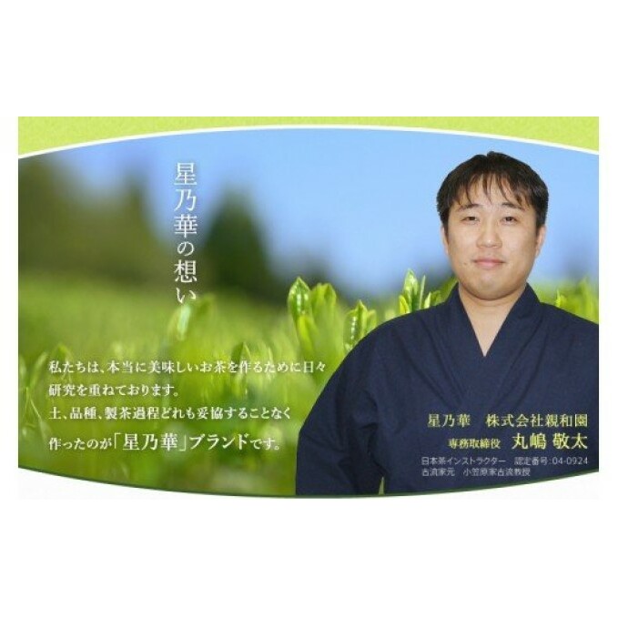 八女茶 緑茶 茶葉 星野茶 詰合せ 星乃絆 80g×3種 お茶 _イメージ2